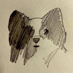 A profile image of CocopyS