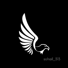 A profile image of sohail-313