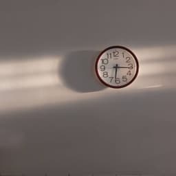 A profile image of zinnia