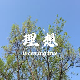 A profile image of 热爱整理的锦理