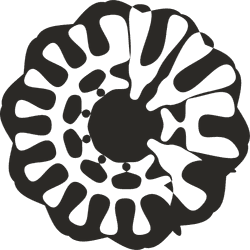 A profile image of artercarter