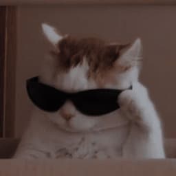 A profile image of miniz