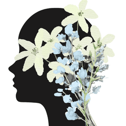 A profile image of SetFlow