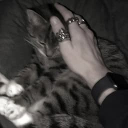 A profile image of eter