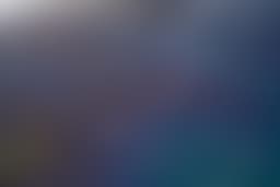 A profile image of Lin