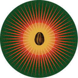 A profile image of Sol