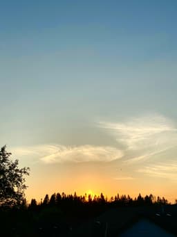 A profile image of Tristan Rodrigues