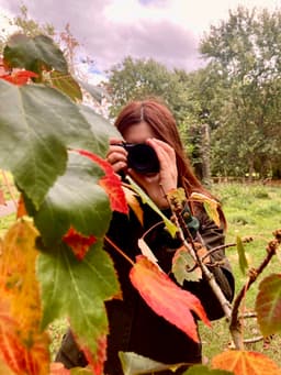 A profile image of marisa_pi