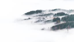 A profile image of 云卷留白