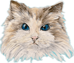 A profile image of Sora