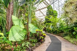 A profile image of College Student