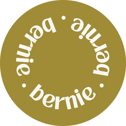 A profile image of Bernie Studio