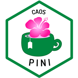 A profile image of Pini