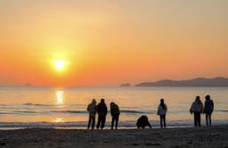 A profile image of sasa