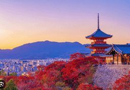 A profile image of Pomeloo