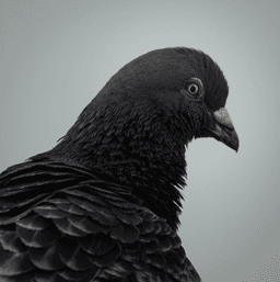 A profile image of Aaron