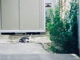 A profile image of SBMS