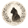 Radexiaのプロフィール画像