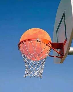 A profile image of jin kim