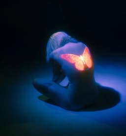 A profile image of Neon Soul Design