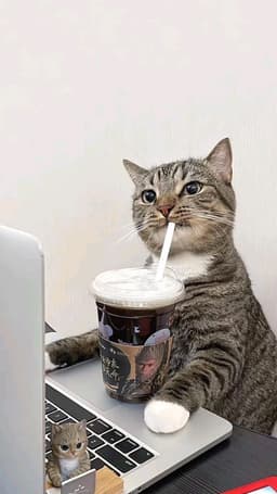 A profile image of varesz