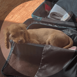 A profile image of zborkataky