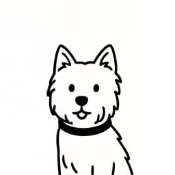 A profile image of Monet