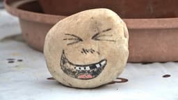 A profile image of Ramona