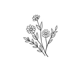 A profile image of Anaëlle