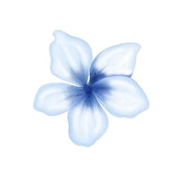A profile image of ⟢Tooty Notes۶ৎ.