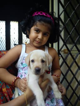 A profile image of Lahari Gudimella