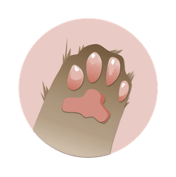 A profile image of Petit Studio