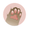 Petit Studioのプロフィール画像