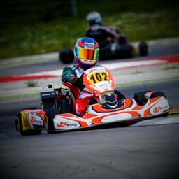 A profile image of Bence Tuzson