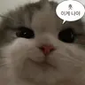 GomGomm님의 프로필 사진