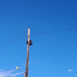 A profile image of Kelly