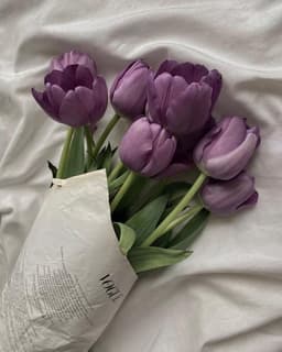 A profile image of ruku