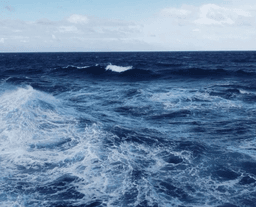 A profile image of Mayha