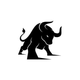 A profile image of Tourus - Español