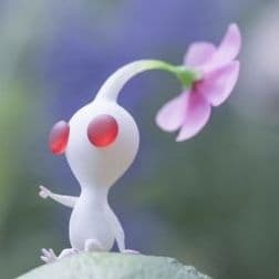 A profile image of Olivia