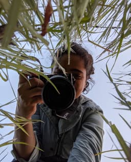 A profile image of Yani