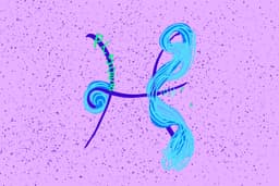 A profile image of Lily