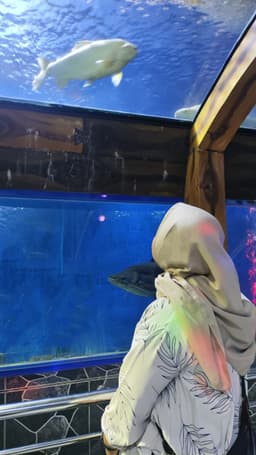 A profile image of Sabill