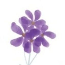 A profile image of Grace's Corners