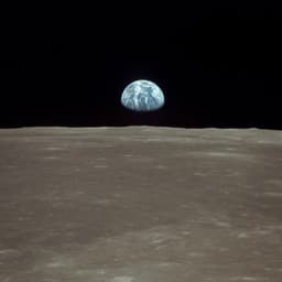 A profile image of Denise Nader