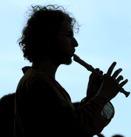 A profile image of TheSpaceSheep