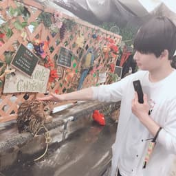 A profile image of CottonSakura