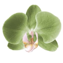 A profile image of niraj dagar