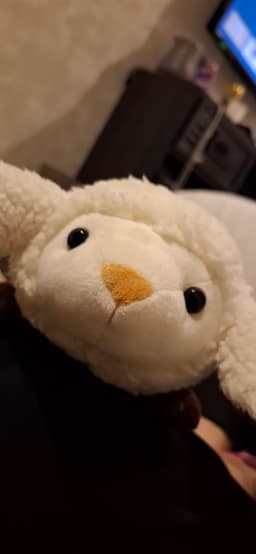 A profile image of 灰茶