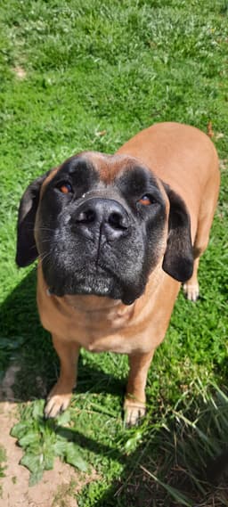 A profile image of Mae